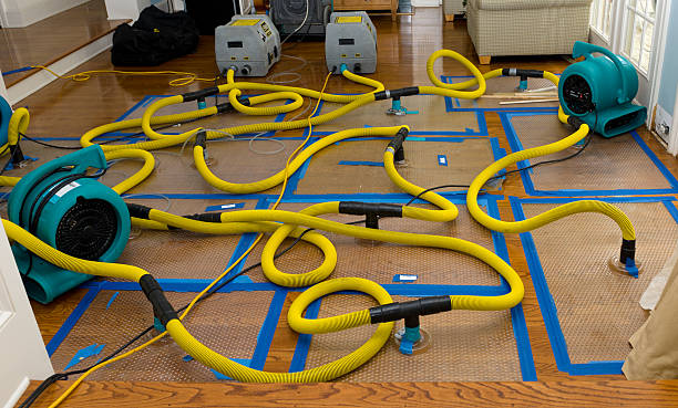 Professional Basement Flood Cleanup technician working in Issaquah, WA